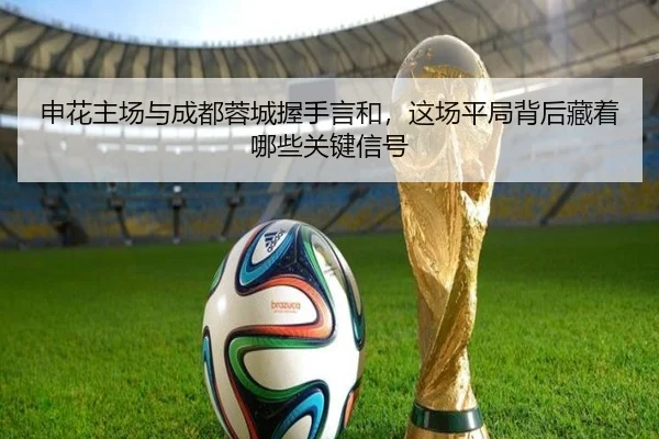 申花主场与成都蓉城握手言和，这场平局背后藏着哪些关键信号